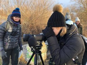 Zimsko prebrojavanje ptica vodarica 2019