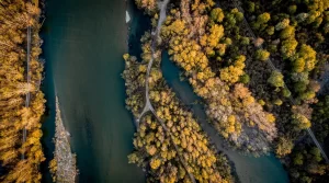 Regionalni park Mura-Drava