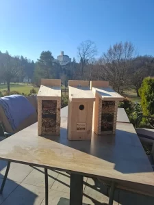 Eco team building u Trakošćanu