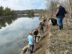 Povratak bregunica