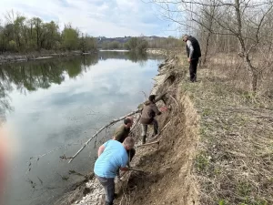 Povratak bregunica