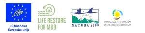 life restore