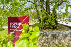 Čuvamo našu prirodnu baštinu i tradiciju