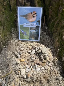 Škola uz rijeku