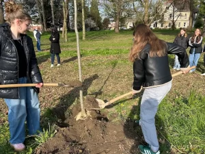 Nova stabla u Vidovečkom perivoju