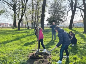 Nova stabla u Vidovečkom perivoju
