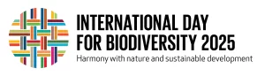 IDB 2025
