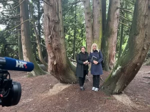 arboretum opeka