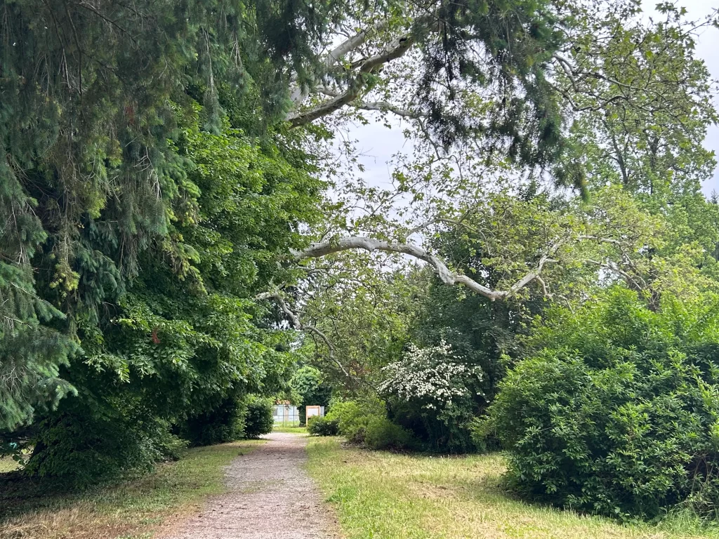 arboretum opeka