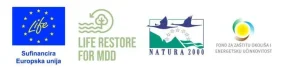 life restore logo