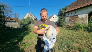 svjetski dan rendzera