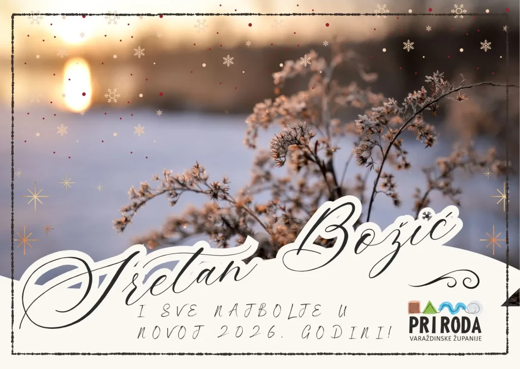 Božićna čestitka 2026