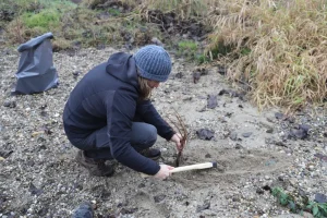 aktivnosti reintrodukcije kebrača u Varaždinskoj županiji