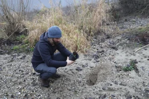aktivnosti reintrodukcije kebrača u Varaždinskoj županiji