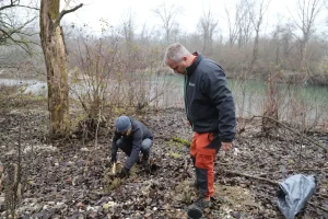 aktivnosti reintrodukcije kebrača u Varaždinskoj županiji