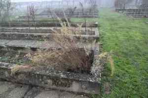 aktivnosti reintrodukcije kebrača u Varaždinskoj županiji