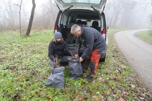 aktivnosti reintrodukcije kebrača u Varaždinskoj županiji
