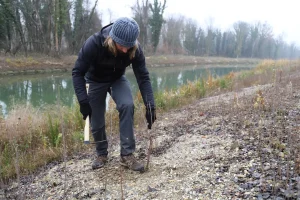 aktivnosti reintrodukcije kebrača u Varaždinskoj županiji