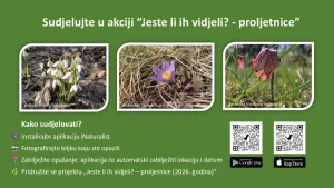 Banner “Jeste li ih vidjeli? - proljetnice”
