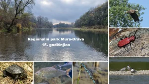 RP Mura - Drava - Godišnjica