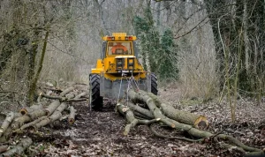 Bager vuče stabla u šumi