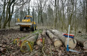 Bager vuče stabla u šumi