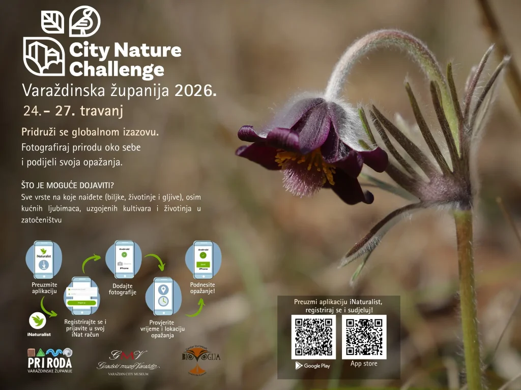 city nature challange banner