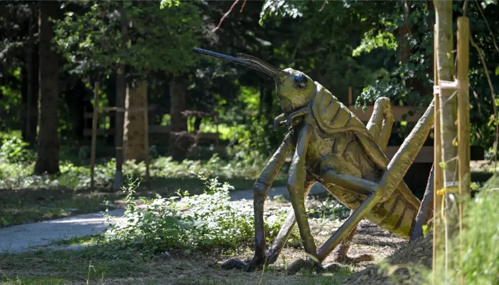 Arboretum Opeka