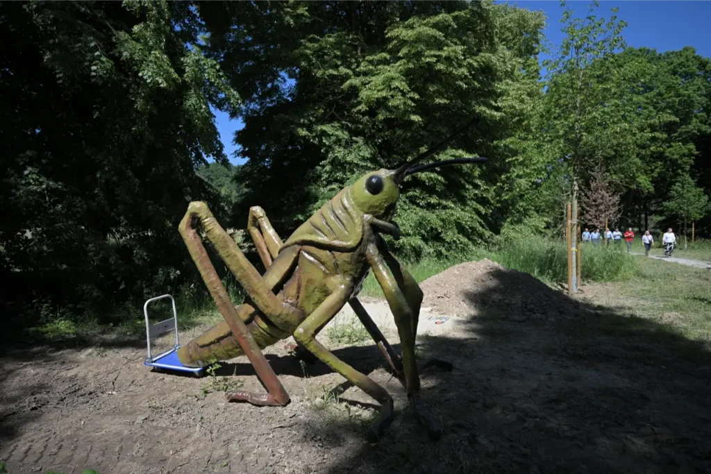Arboretum Opeka
